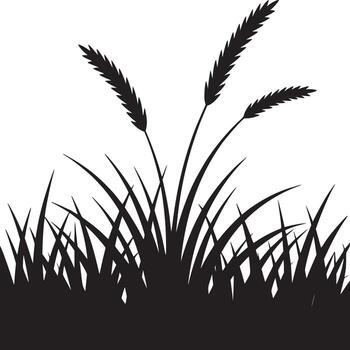 Silhouette of grass and wheat stalks against a white background in a simple graphic style image vector
