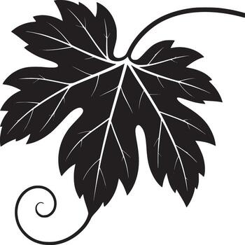 Isolated black and white grape leaf with vine and tendril on a white background in minimalist style vector