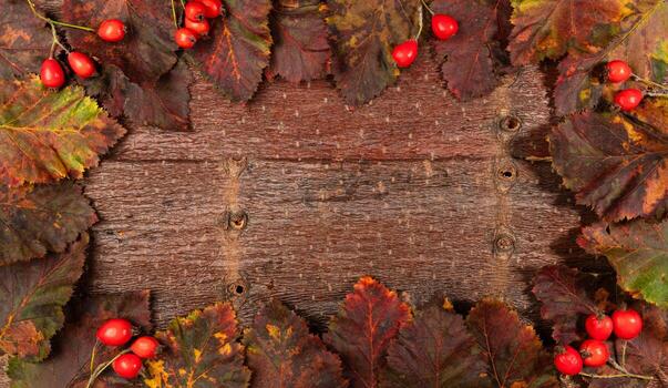Autumn leaves and red berries arranged on wooden tree bark background with copy space for text photo