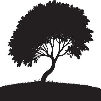Silhouette of a tree with a curved trunk and dense foliage against a bright white background space vector