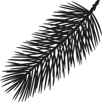 A single black silhouette of a pine branch with needles on a white background in high resolution vector