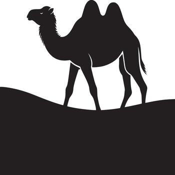Silhouette of a camel walking in the desert on a white background in a simple and clean design vector