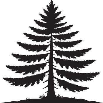 Silhouette of a tall evergreen tree with dense foliage on a white background and small grass below vector