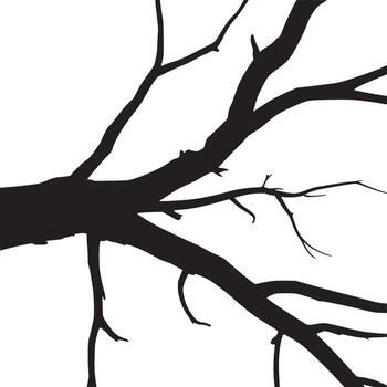 Silhouette of tree branches against a white background in a stark and minimalist composition style vector