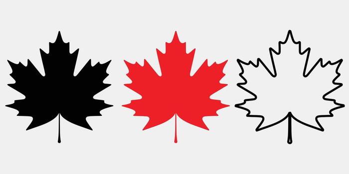 Maple leaf icons isolated on white background in black, red and white color scheme vector