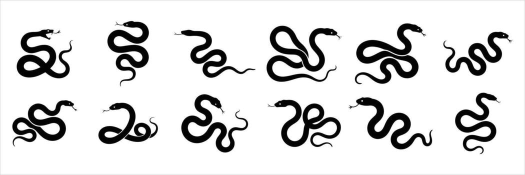 Collection of snake silhouettes isolated on white background for design use vector