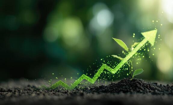 Growing graph over seedling in soil photo