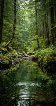 Lush forest stream reflecting emerald trees photo