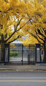 Autumnal ginkgo trees frame a building behind a black metal gate photo