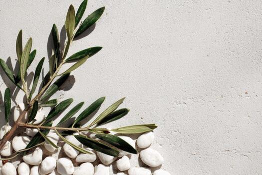 Olive branch and stones on a concrete wall photo