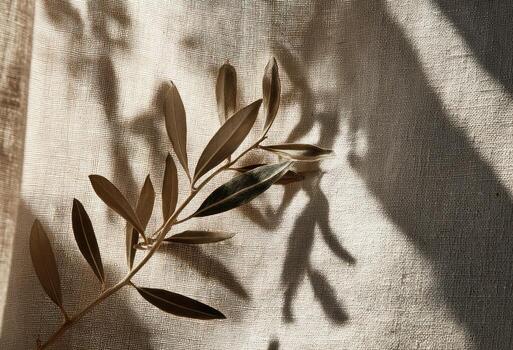 A leaf on a curtain with shadows photo