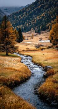 A river runs through a field in the mountains photo
