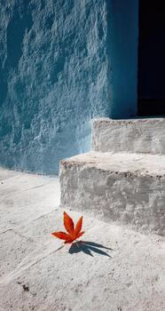 A lone orange leaf on a white wall photo