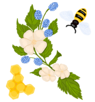 abeja y mieles png