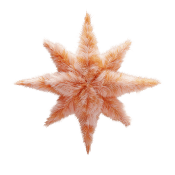 Fluffy 3D navigation star isolated on transparent background png