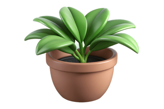 Aesthetic Indoor Plant Design png