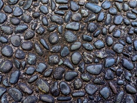 Smooth Pebbles on Rough Ground. A close-up view of smooth dark pebbles embedded in rough concrete ground. photo