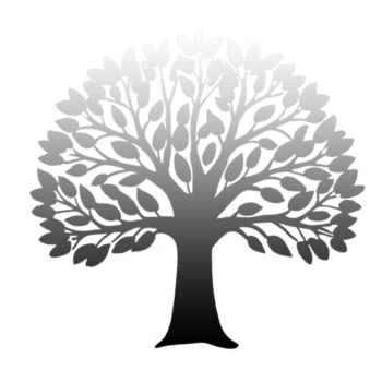 Black and white tree with leaves on transparent background png