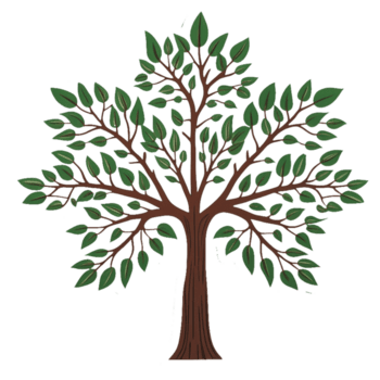 albero con verde le foglie su esso, isolato su un' trasparente sfondo png