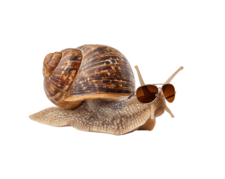 lumaca occhiali da sole animale Marrone conchiglia isolato trasparenza sfondo lato Visualizza strambo freddo stile. Marrone lumaca con spirale conchiglia indossare occhiali da sole isolato trasparenza sfondo lato Visualizza strambo png