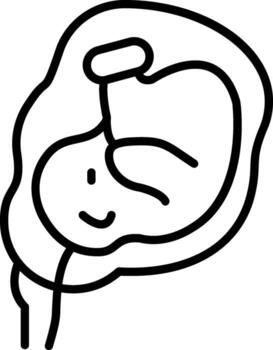 desarrollando humano feto vector