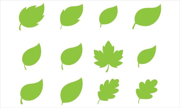 Set of various green leaves isolated on white background for your projects vector