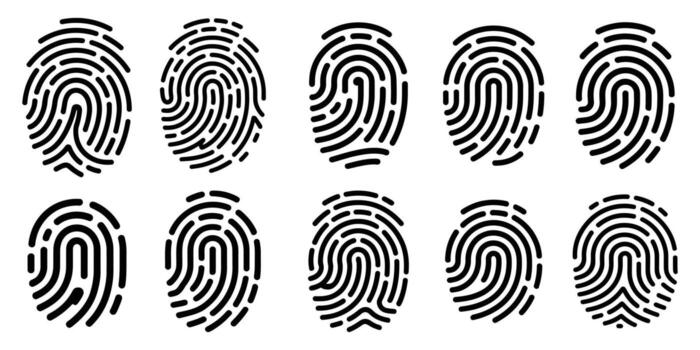 Collection of fingerprint patterns isolated on white background, unique identification vector