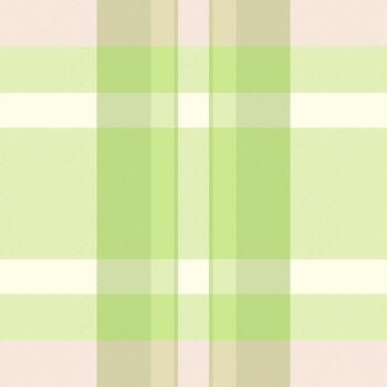 Canvas texture tartan, independence day plaid fabric background. Strong seamless textile pattern check in light and lime colors. vector