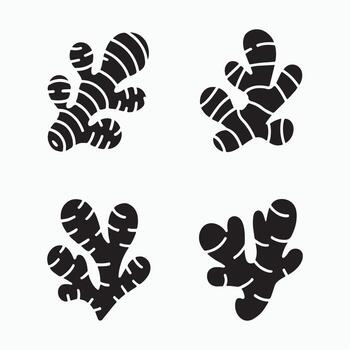 jengibre raíz sólido ingrediente íconos paquete vector