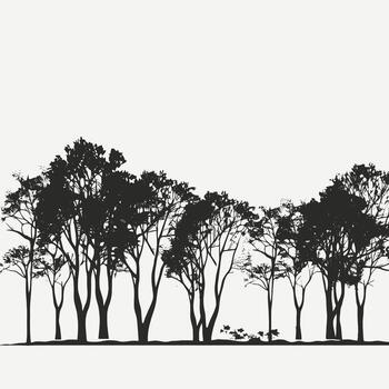 Silhouette of trees on a white background vector
