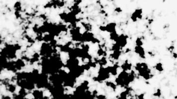 3d rendering of transition effects animation. White to black background transition overlay video