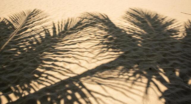 texturizado arena superficie con repitiendo patrones de palma fronda oscuridad playa foto