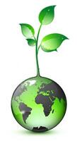 verde planta de semillero creciente desde un lustroso tierra globo demostración continentes planta foto