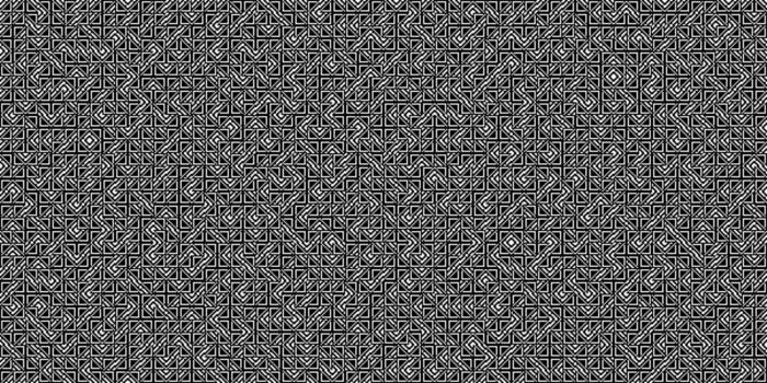 A black and white abstract background with a geometric pattern of complex, interlocking lines. This monochromatic image creates a labyrinthine texture. vector