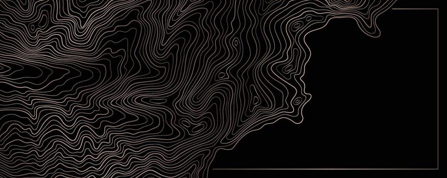 oscuro topográfico mapa antecedentes con elegante contorno línea modelo vector