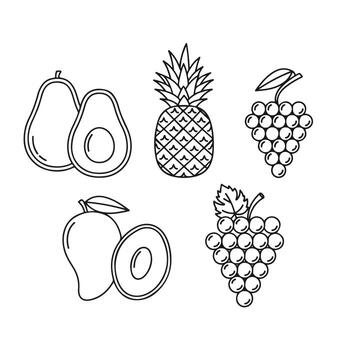 Assorted fruit illustration in simple outline style featuring avocado pineapple grapes and mango vector