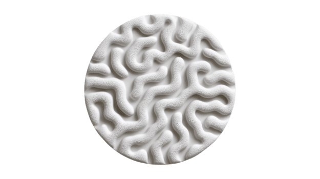 abstrato circular textura com ondulado orgânico gravado padronizar isolado em transparente fundo png