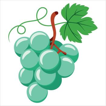 Flat illustration of a bunch of grapes in light turquoise with a brown stem and green leaf designed in a minimalistic style for fresh fruit themes vector