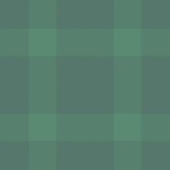 clásico tartán modelo con un moderno color girar. sin costura repitiendo textura Perfecto para antecedentes, diseño elementos, textiles. evoca comodidad y estilo. vector