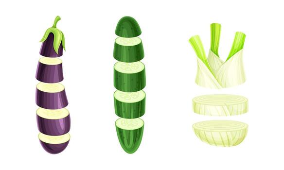 Sliced Aubergine, Cucumber and Fennel Arranged in Vertical Row as Cut Food Set vector