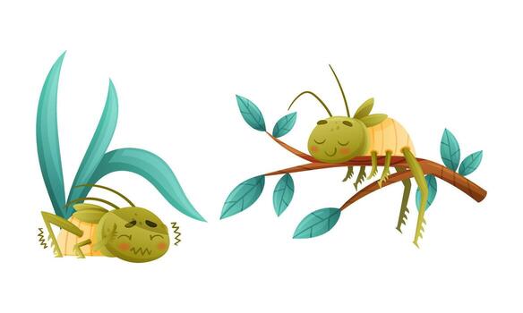 Cute Little Grasshopper Character Hiding Under Leaf Shivering with Fear and Lying on Tree Branch Set vector