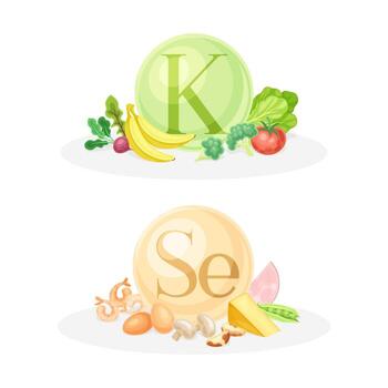 Products ontaining Vitamin K and Selenium with Fruit, Vegetables, Cheese and Eggs Composition Set vector