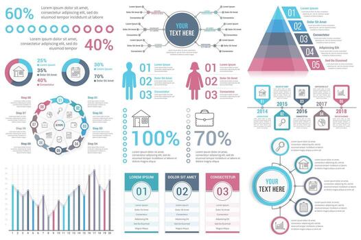 Infographic with data and statistics details vector