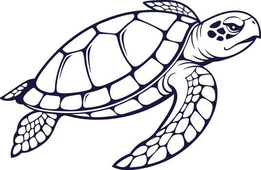Turtle Illustration Realistic Turtle Sketch Ocean Turtle Artwork vector