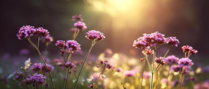 Beautiful Blooming Pink Flowers in Soft Evening Light Surrounded by Nature with Gentle Bokeh Effect and Warm Atmosphere photo