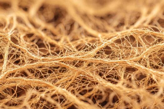 Close-up of a textured, fibrous organic material showcasing intricate interwoven strands and a natural tan color, highlighting its detailed complex structure. photo
