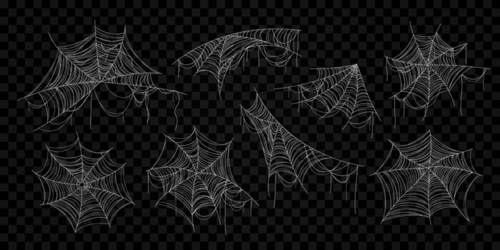 Halloween cobweb set. Isolated realistic white spiderweb bundle in various shapes for spooky and gothic designs. Perfect decoration for web, print, and Trick or Treat party designs. Line art elements. vector