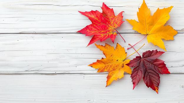 Introduction of October and November bringing autumn vibes, October, November, Introduction photo