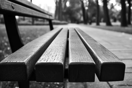 Wooden bench in park setting during quiet afternoon walk with trees lining the path photo