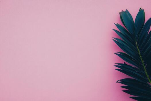 Green palm leaf against soft pink background creating a fresh and vibrant aesthetic photo